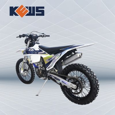 Động cơ Enduro mạnh mẽ 250cc 4 lần với OEM 4 van nước làm mát EFI và EXCEL RIM